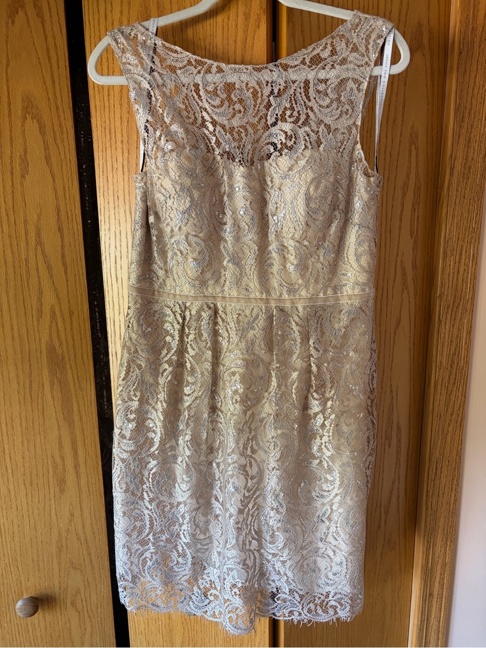 Jenny Yoo Lace Overlay Cocktail Dress in Champagne Gold